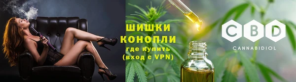 гашик Сосновоборск