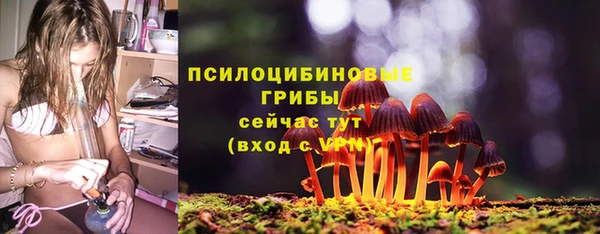 гашик Сосновоборск