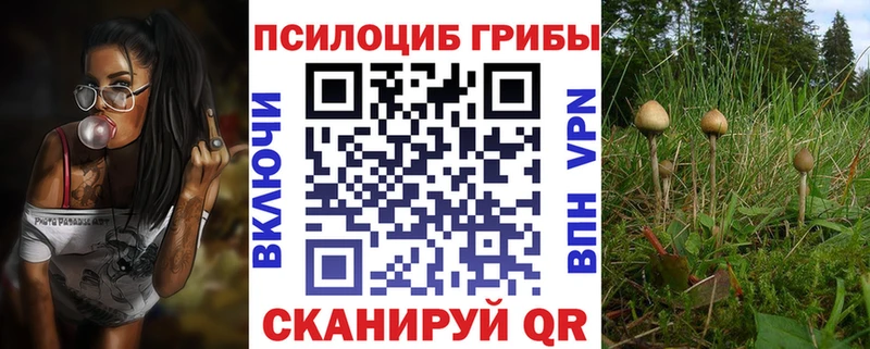 Псилоцибиновые грибы ЛСД  Купить где  Голицыно 